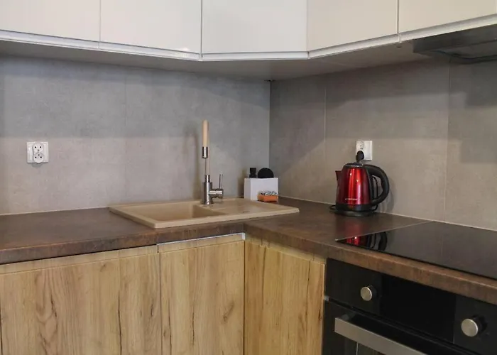 Close-central - Center - Cozy - P29 * Gdańsk